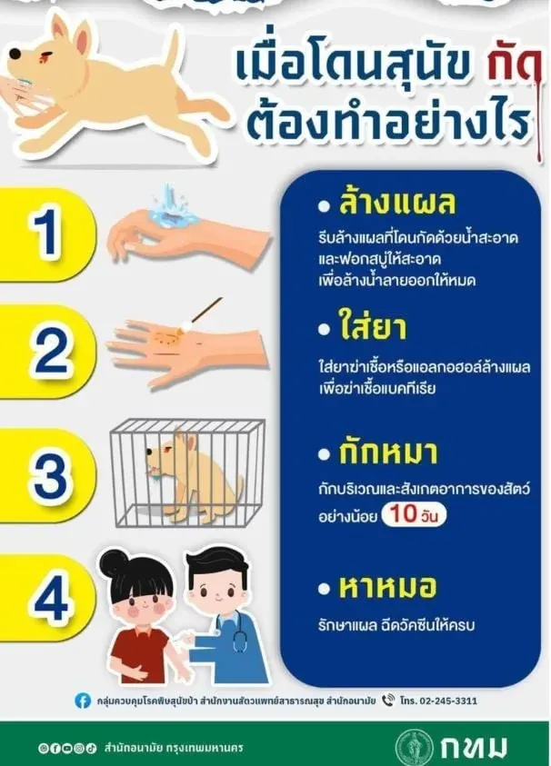 광견병 대응 안내