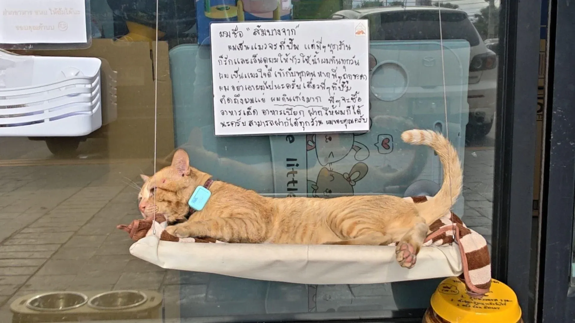 솜 방짝과 복권 부스