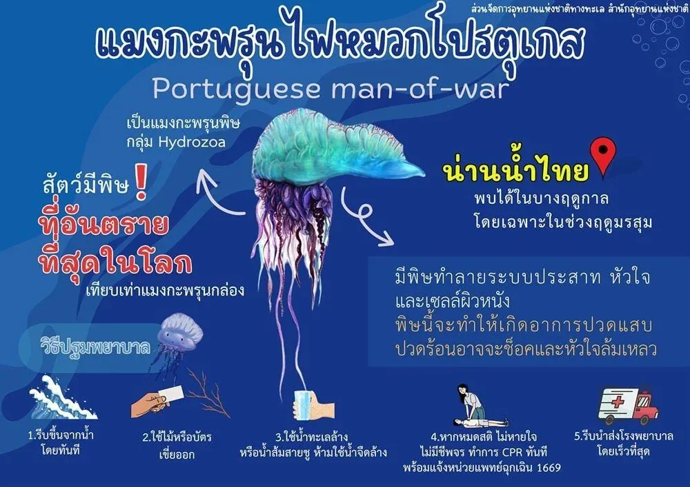 해변 안전 주의사항