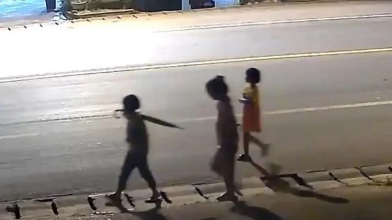 수색 작업 이미지