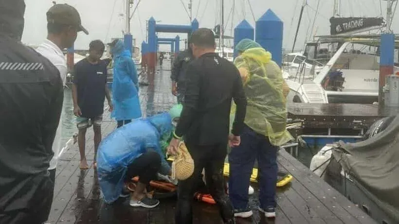 푸켓 해변에서 발생한 나무 낙하 사고 현장