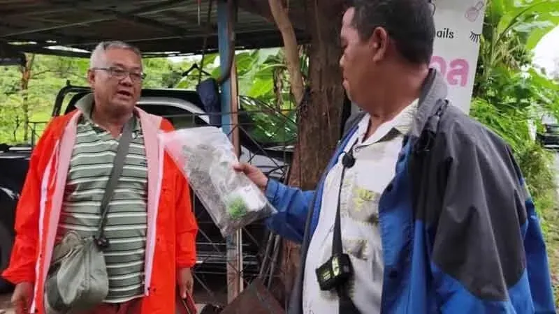 경찰이 조사 중인 대마초 봉지