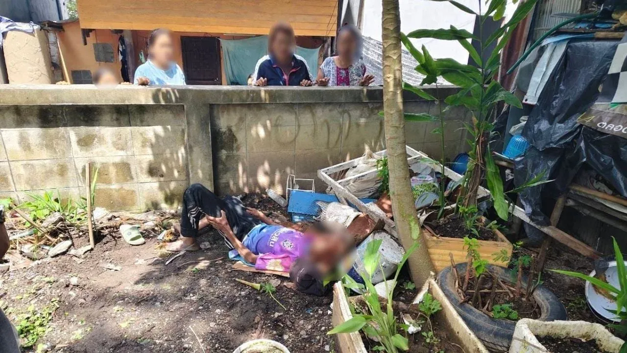 치앙마이 물소 공격으로 부상당한 태국인 남성