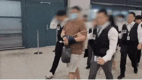 한국 헤럴드 보도 자료