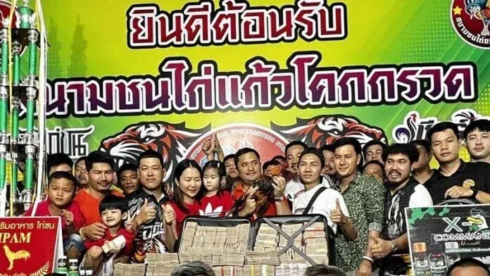 수탉 판매 관련 소셜미디어 게시물