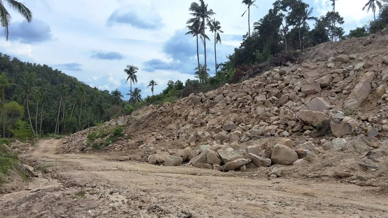 꼬팡안 산림 침해 의혹 현장
