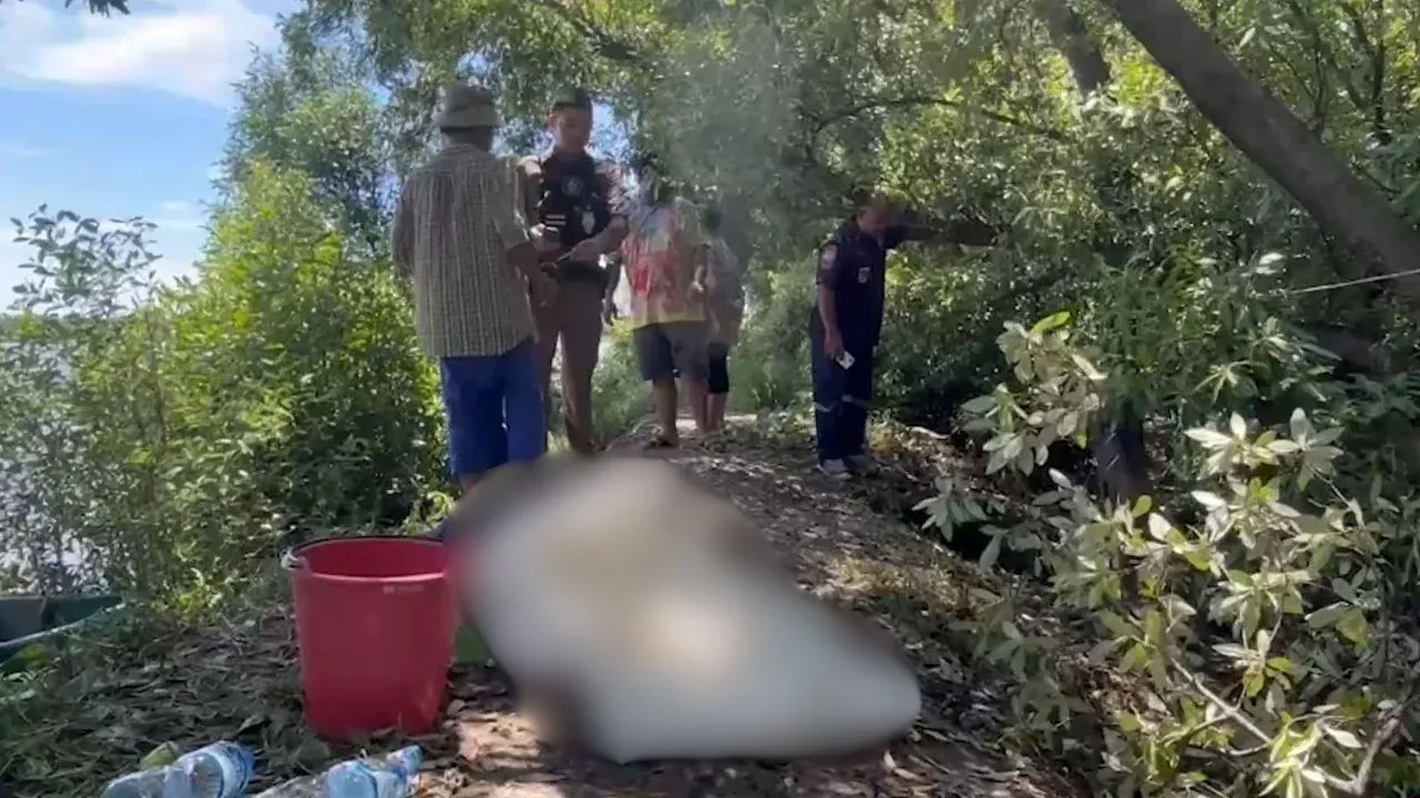 태국 사무트 프라칸에서 발생한 개미 물림 사망 사고 현장