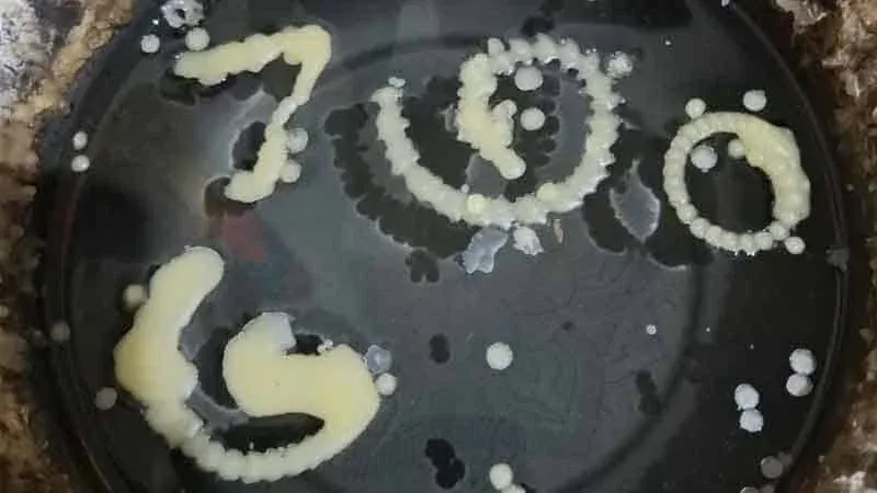 캄차노드 섬의 나가 조형물