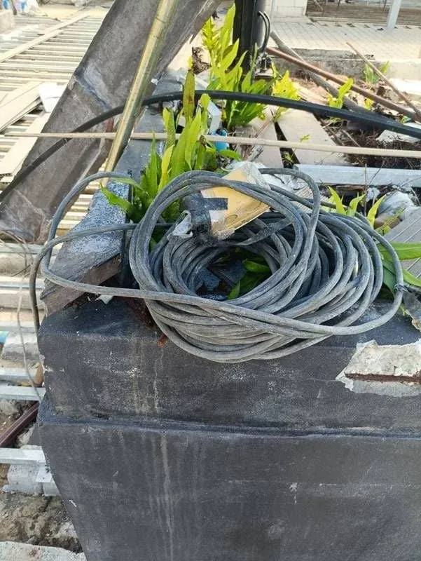 추가 현장 사진