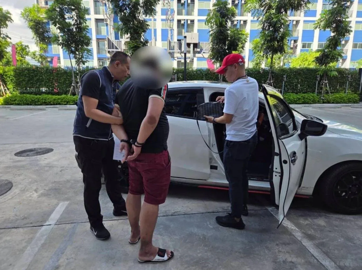 압수된 대량의 마약