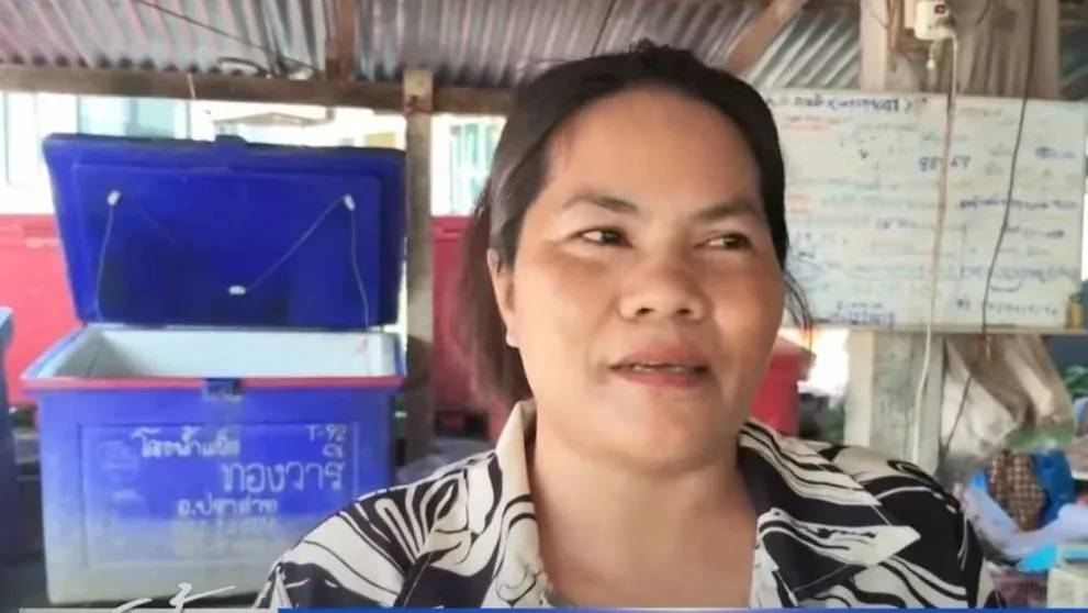 수린 국경 지역 육류 시장