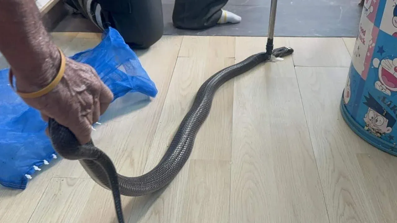 구조 활동 진행 모습