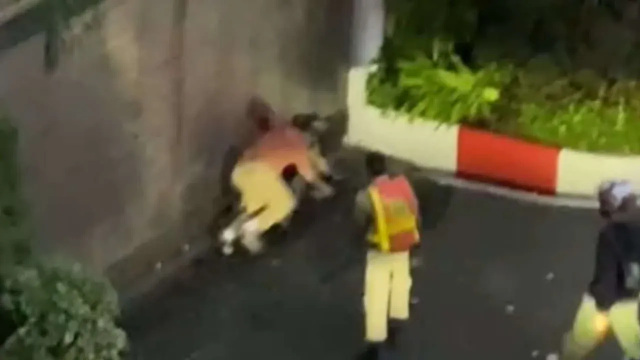 사이암 파라곤 앞 택시 하차 지점 분쟁