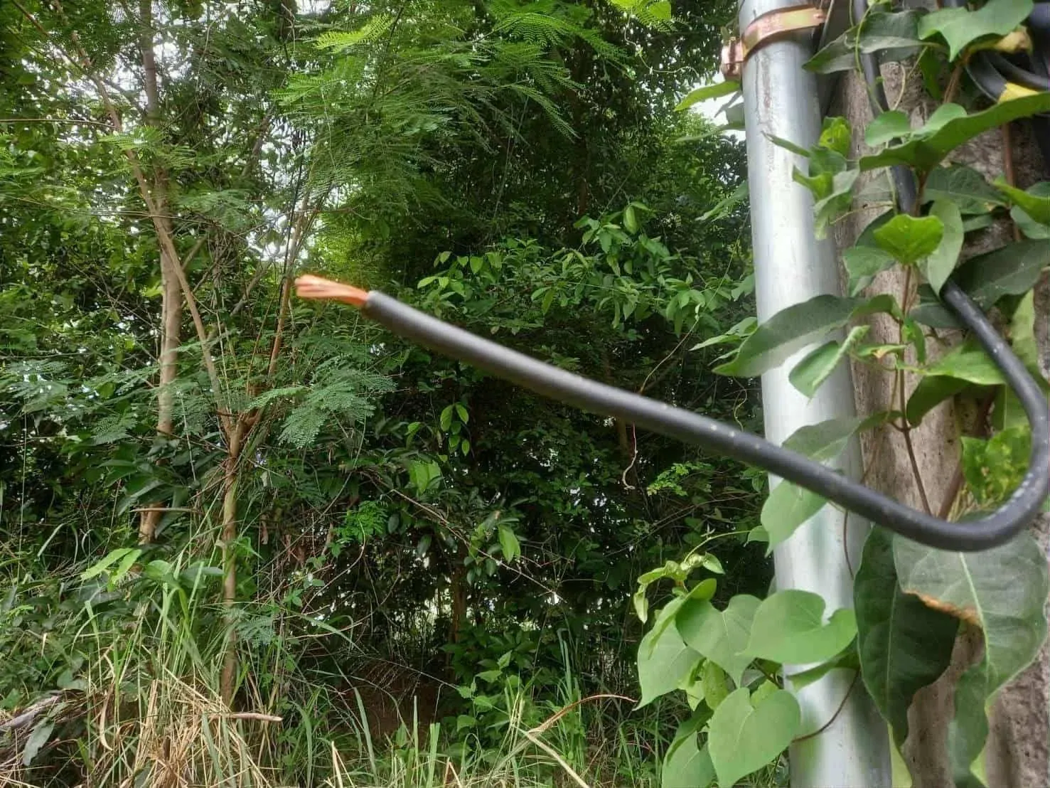 변압기 도난 현장