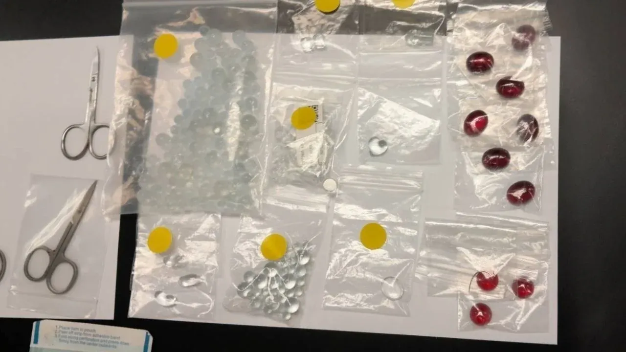 체포된 피타야와 압수품