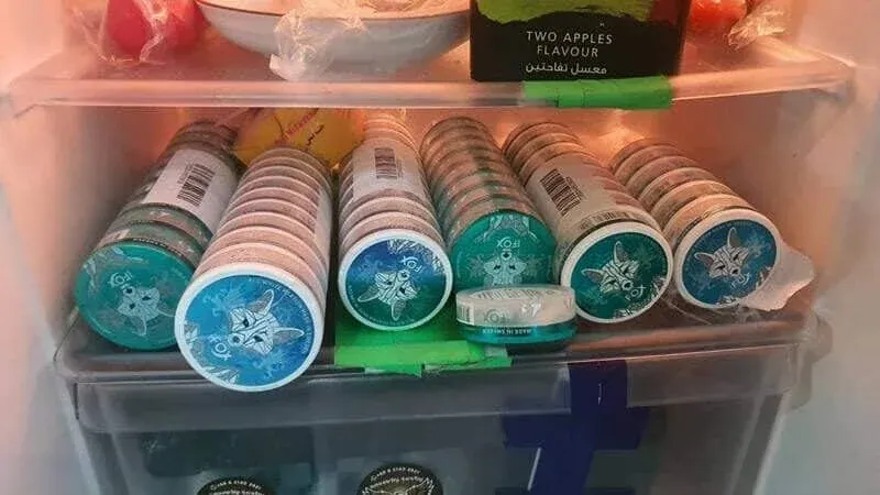 체포된 용의자들