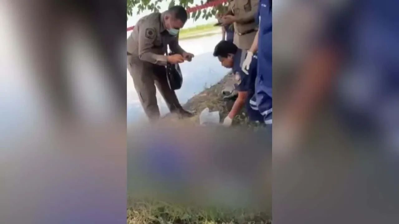 다음 조사 전 자살한 살해 용의자