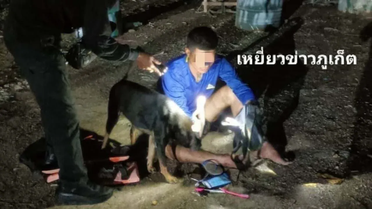 푸껫 스피드보트 절도범 체포