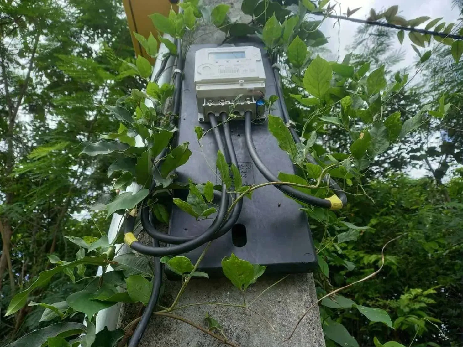 도난 현장 조사