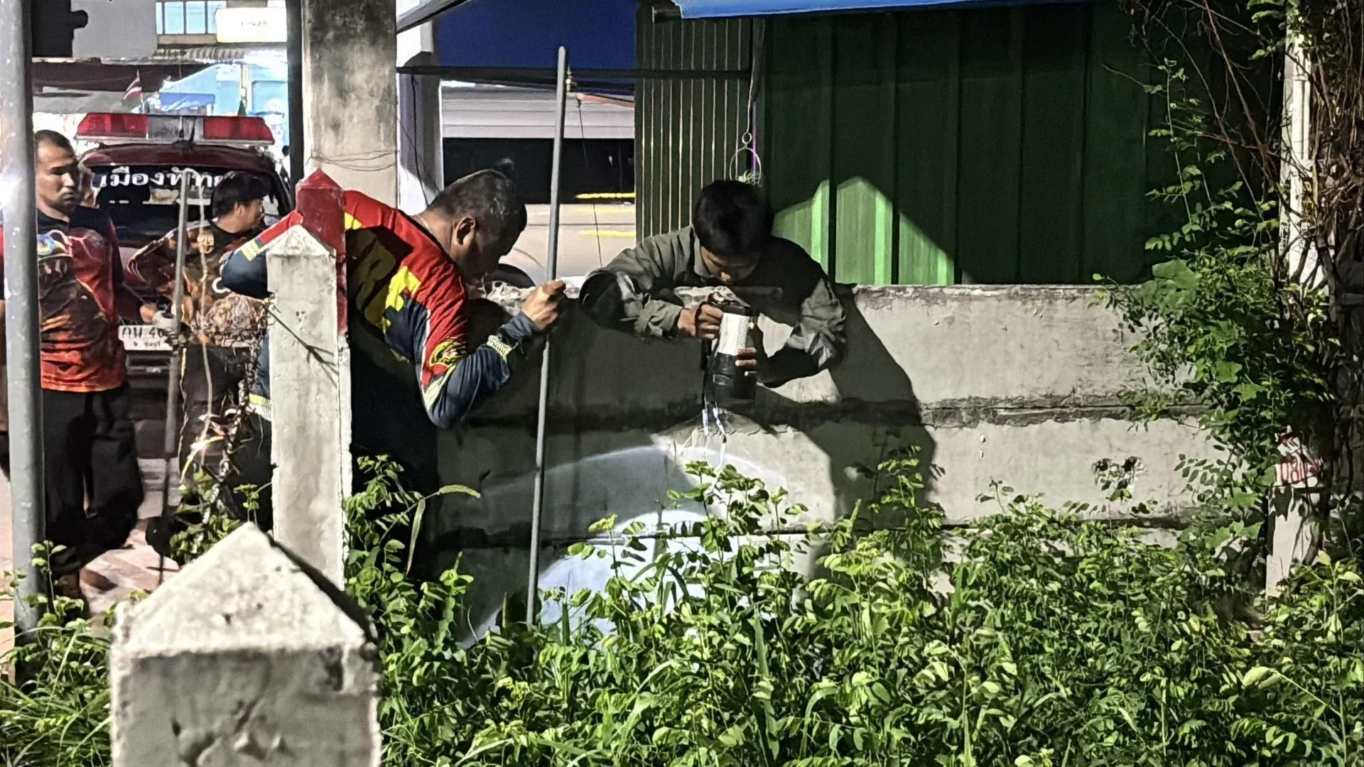 파타야에서 발견된 고양이를 삼킨 비단뱀