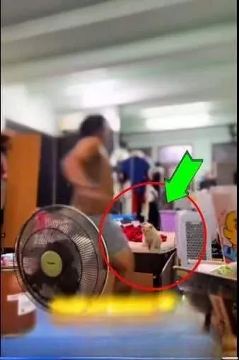 회사 성명서