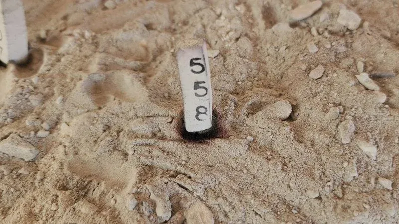 불상 앞에 놓인 공양물