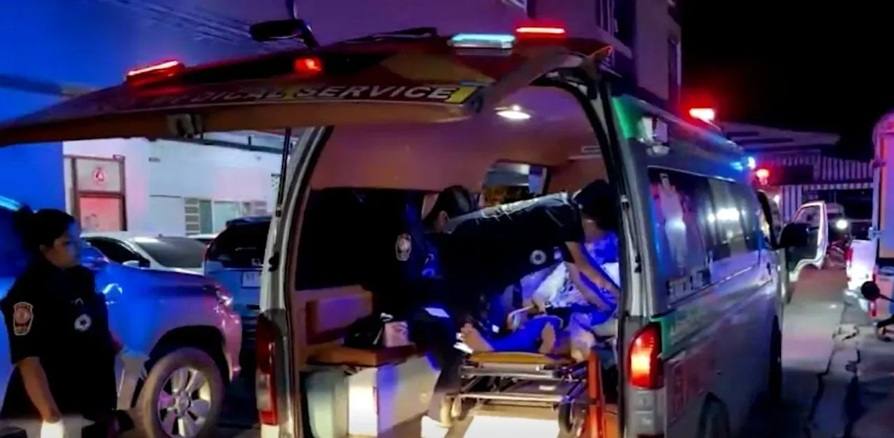 뇌 건강 보조제 조사