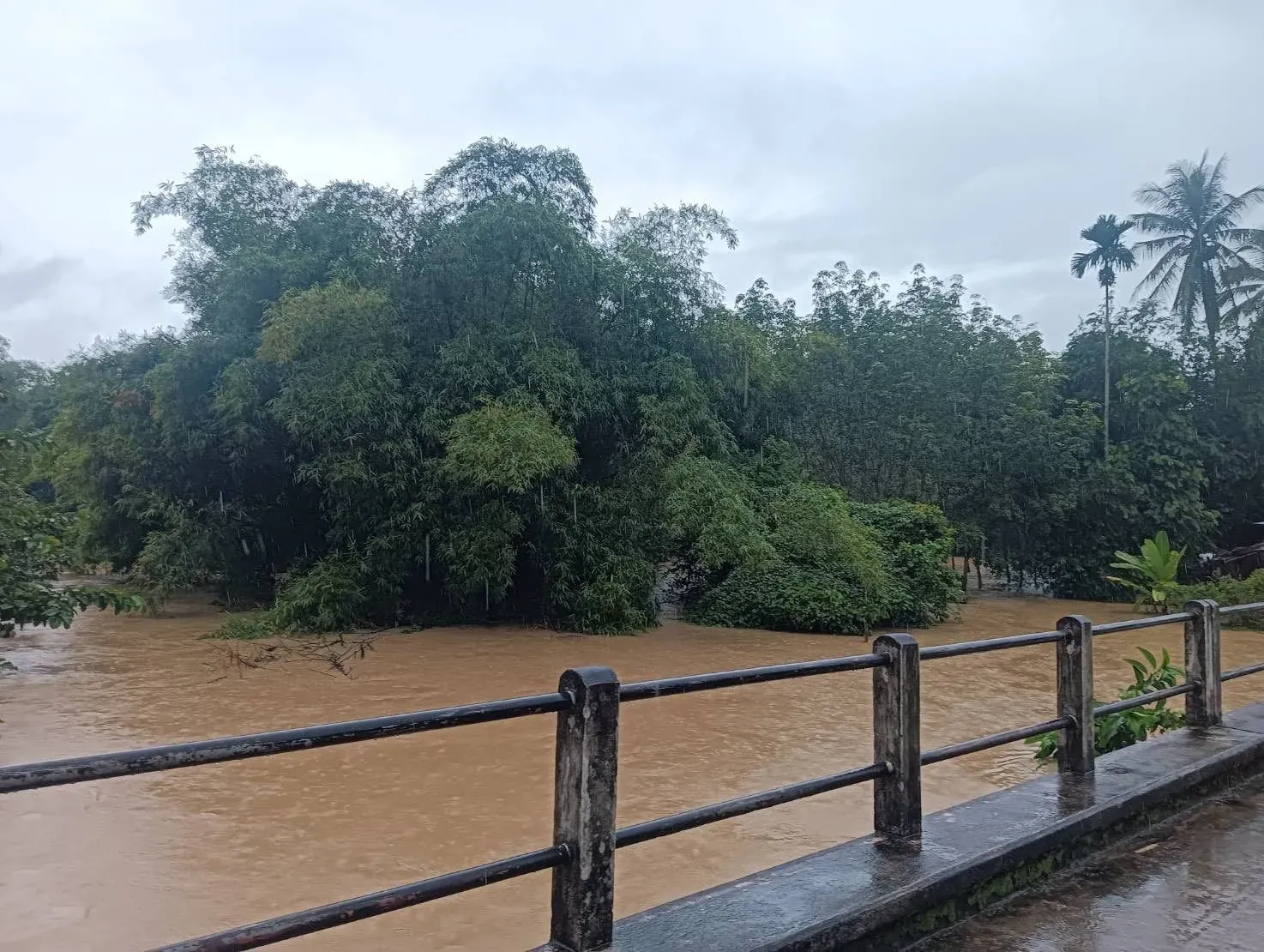 지역 주민들의 대피 모습