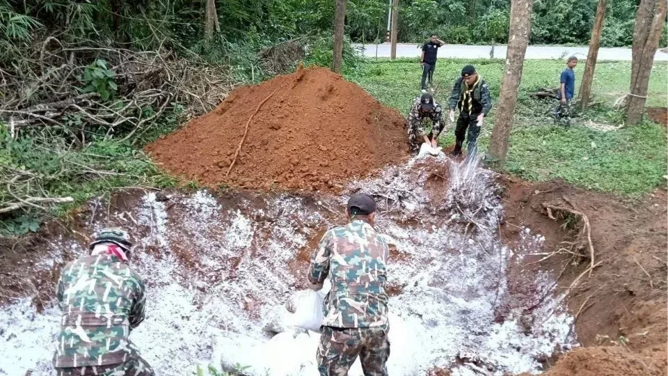 야생동물 보호 당국 현장 조사