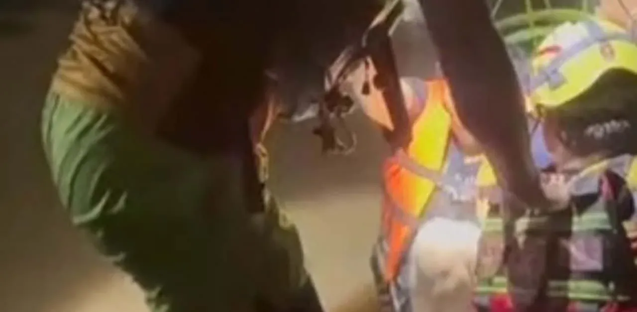 시밀란 제도의 바다거북