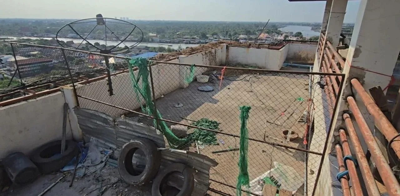 개 농장으로 변한 콘도 옥상