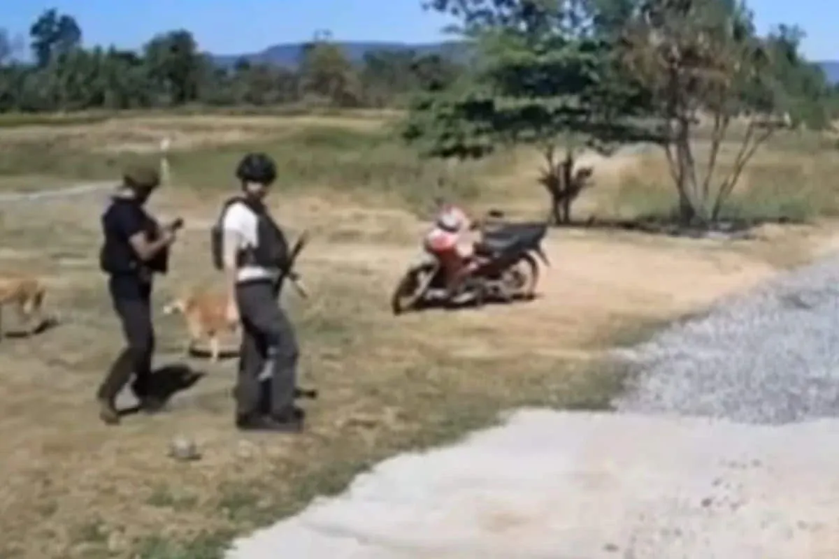 태국 국경 경찰이 대피 중 남겨진 개들에게 먹이를 주는 모습