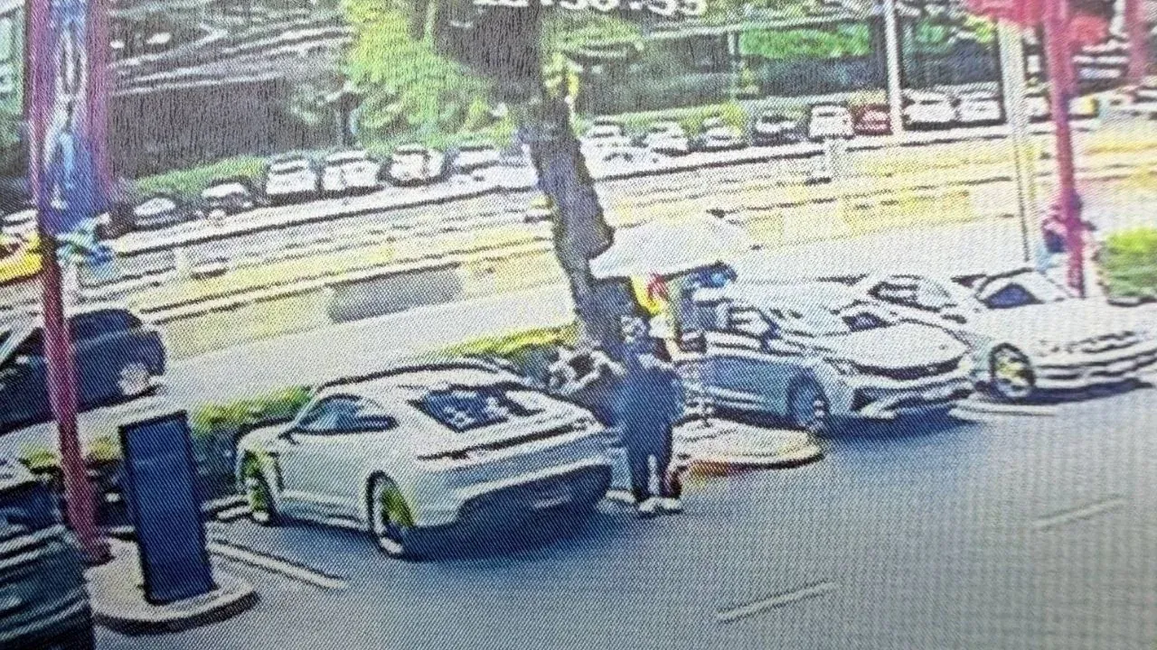 사기 피해 관련 보도 장면