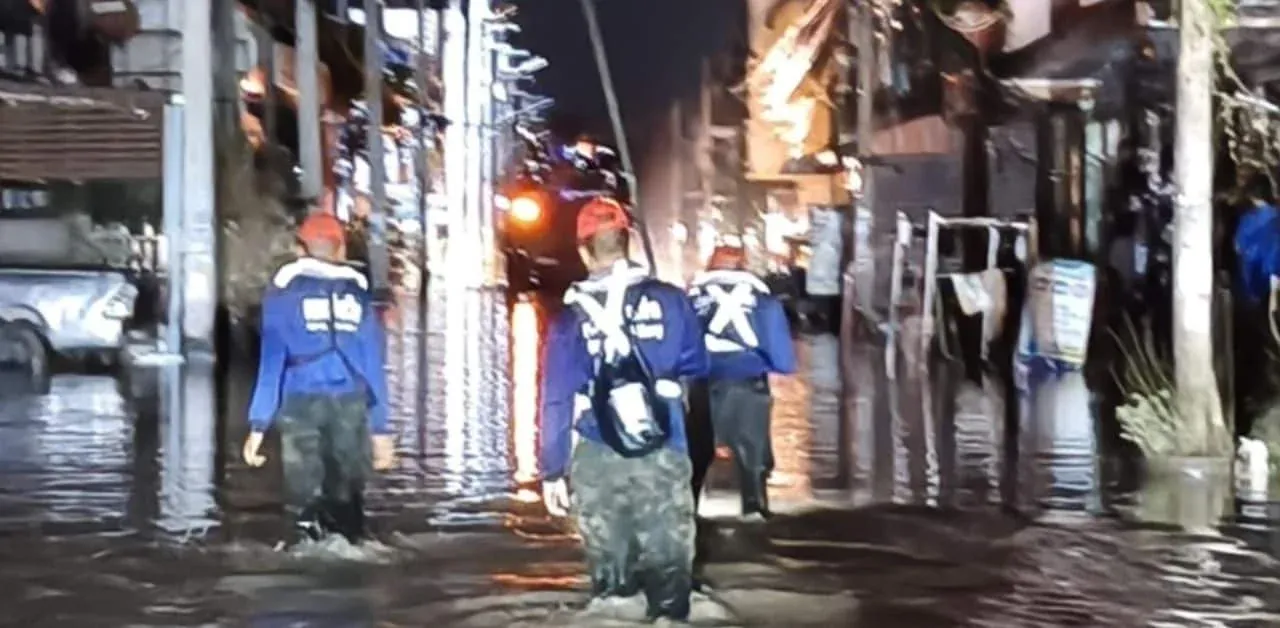 구조된 반려견 '무댕(붉은 돼지)'