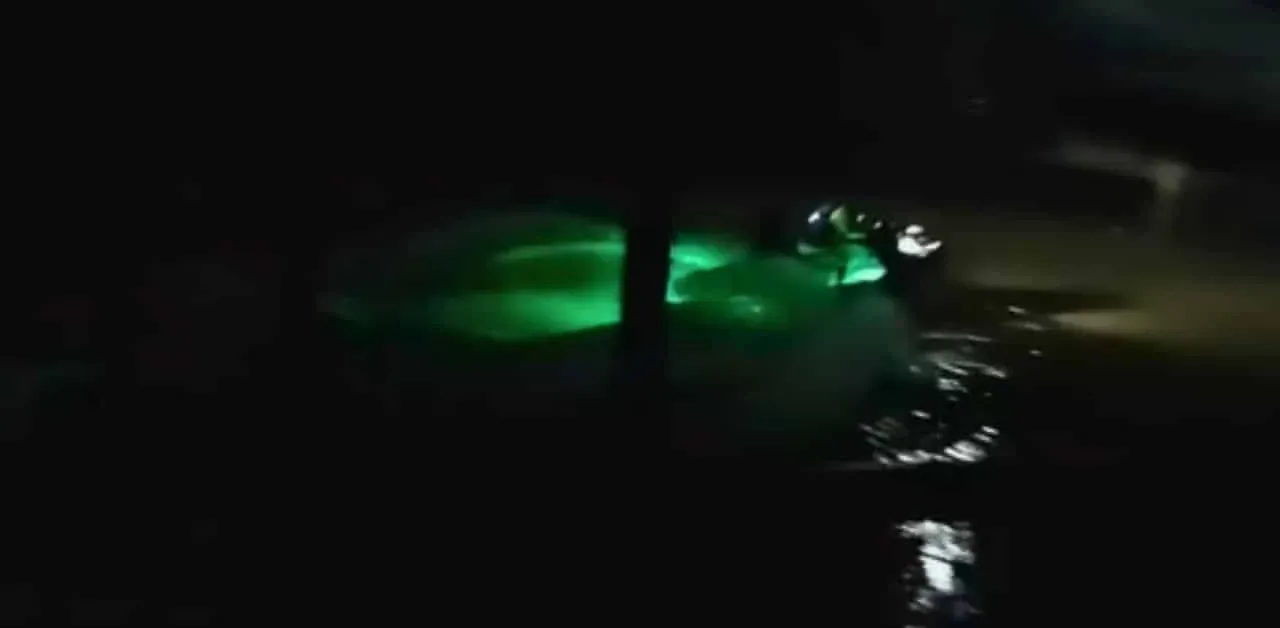 핫야이 홍수 구조 현장