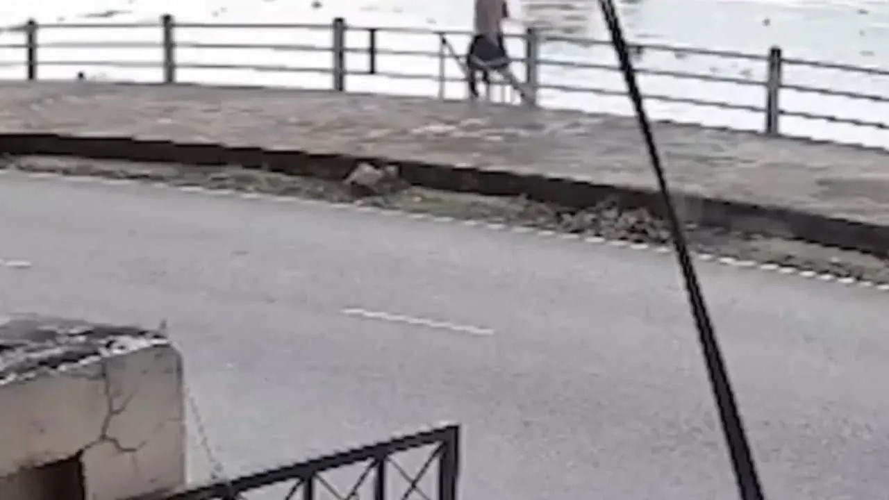 프랑스인 데이비드