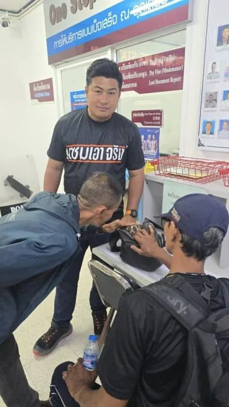 추가 송금 내역