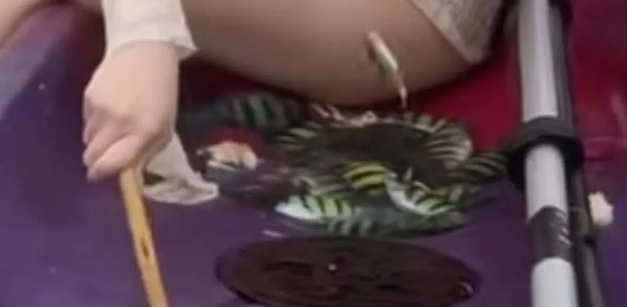 중국 관광객 푸켓 낚시 영상