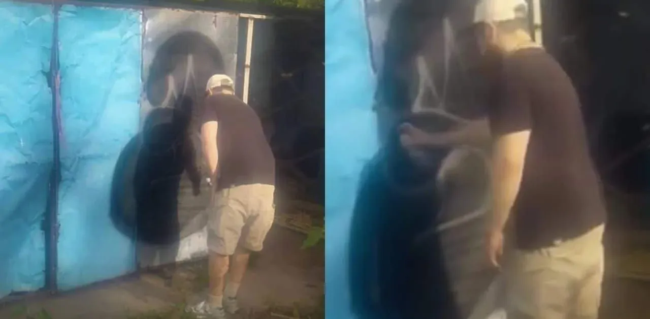 푸껫 벽 낙서 외국인 비판받아