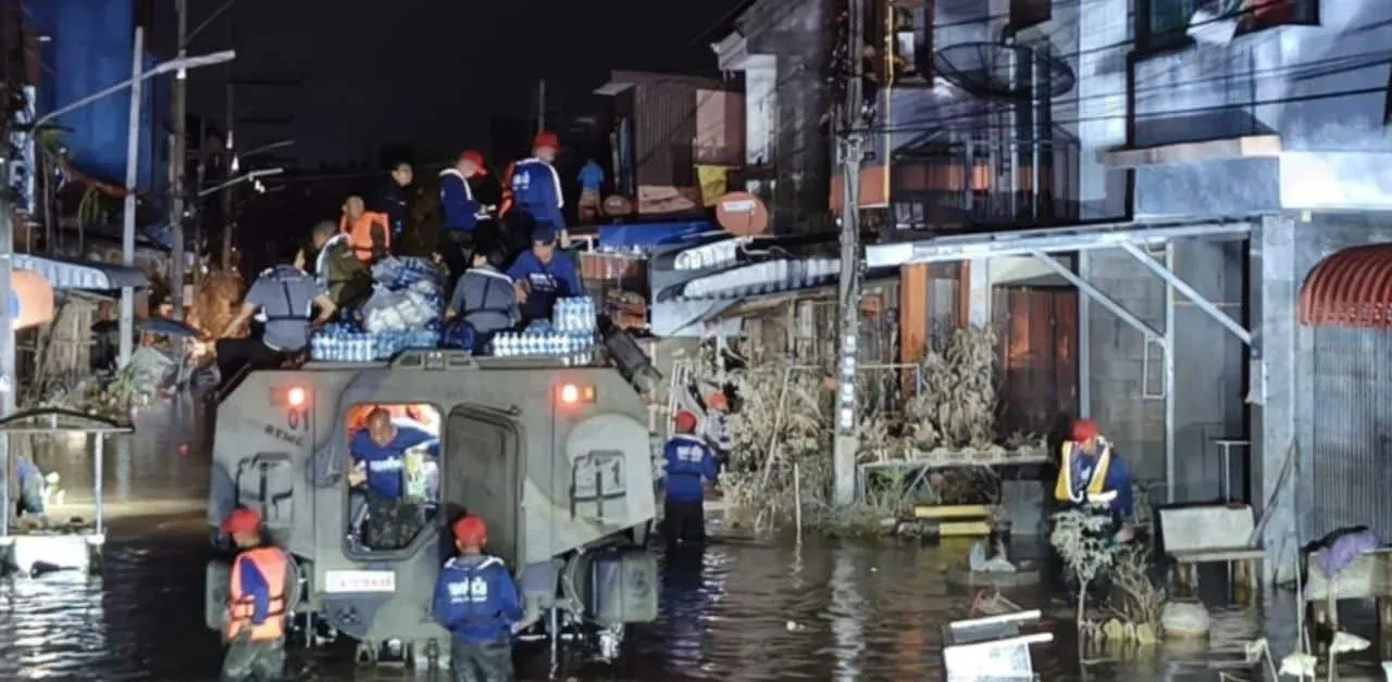 홍수 속 나무에 매달린 노인과 반려묘