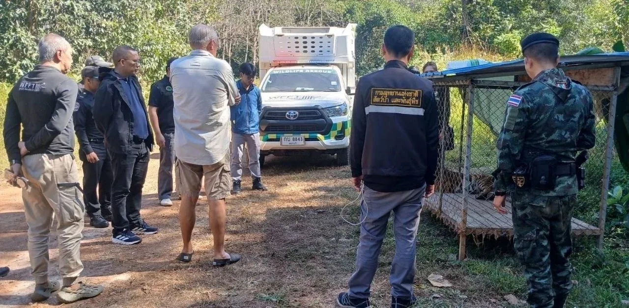 압수된 호랑이 검사 장면