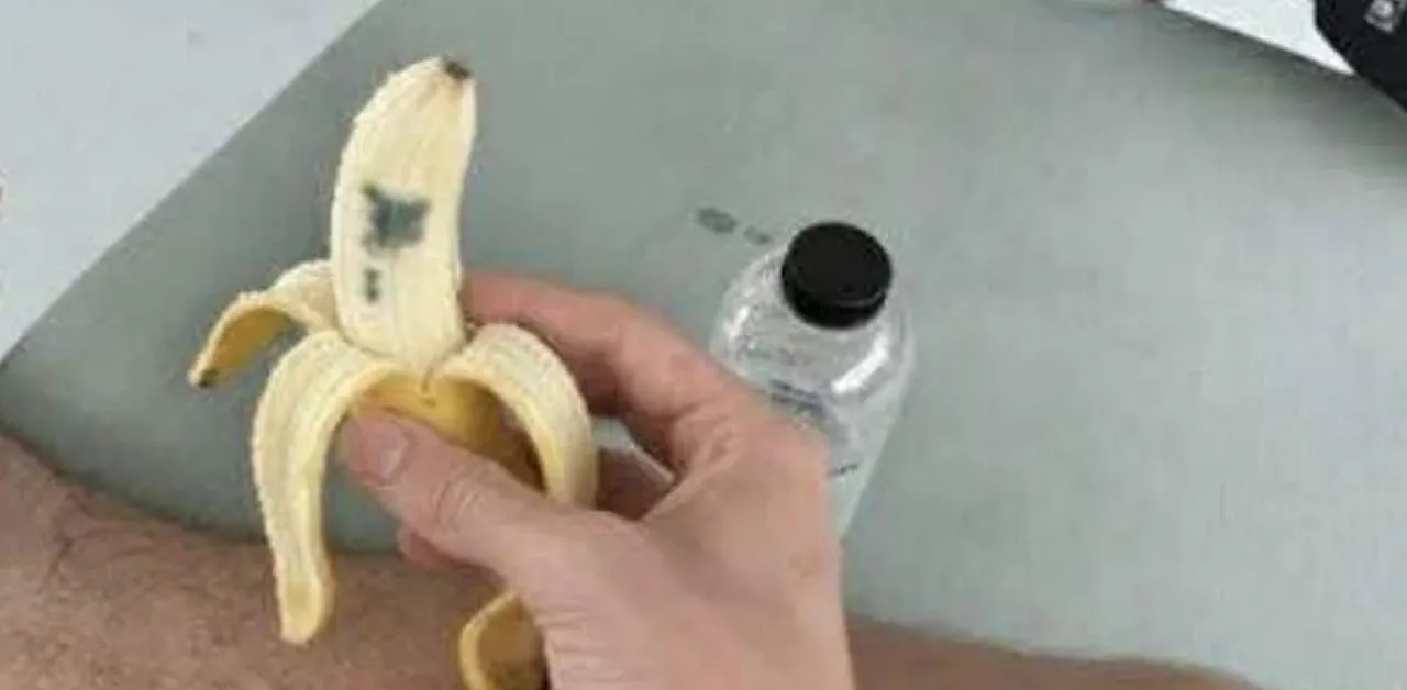 실제 보트 투어 모습