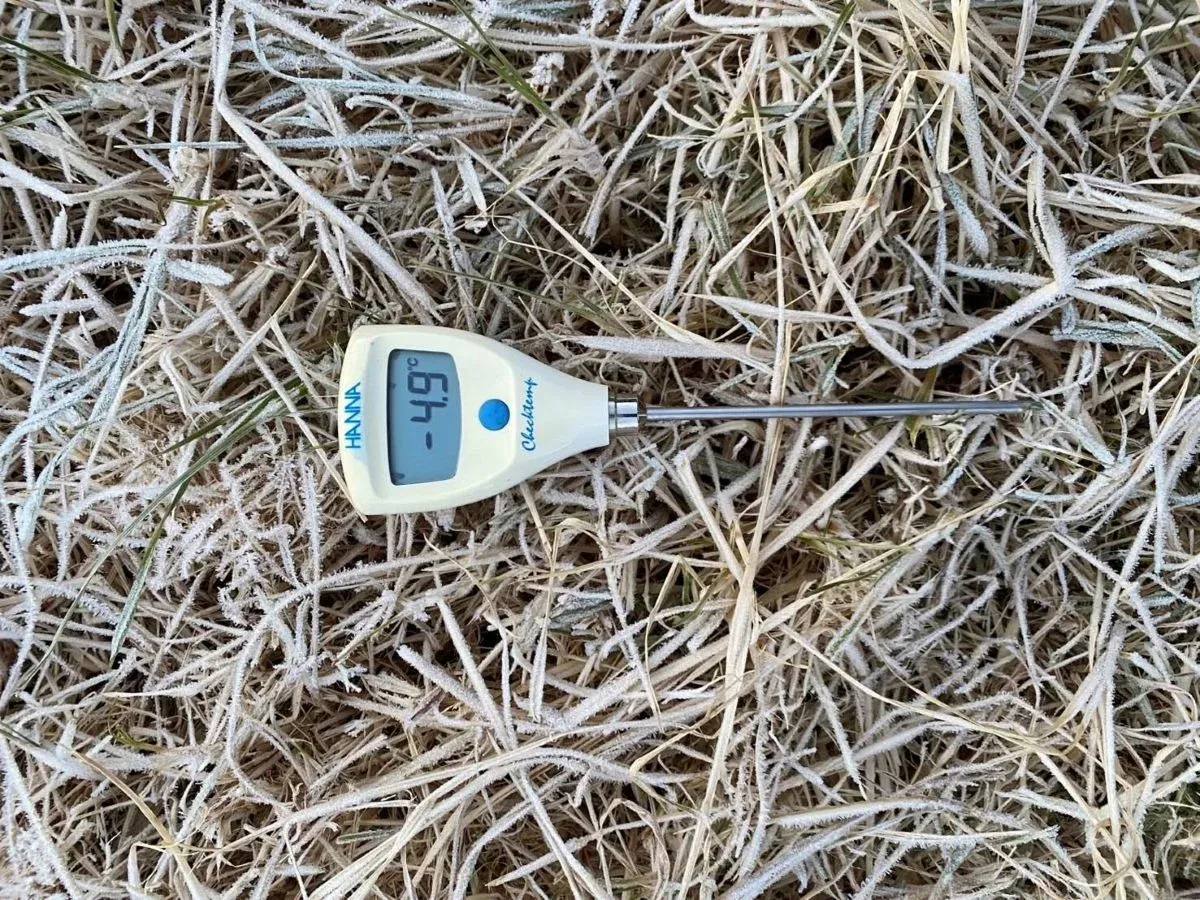 도이인타논 온도계 측정 사진