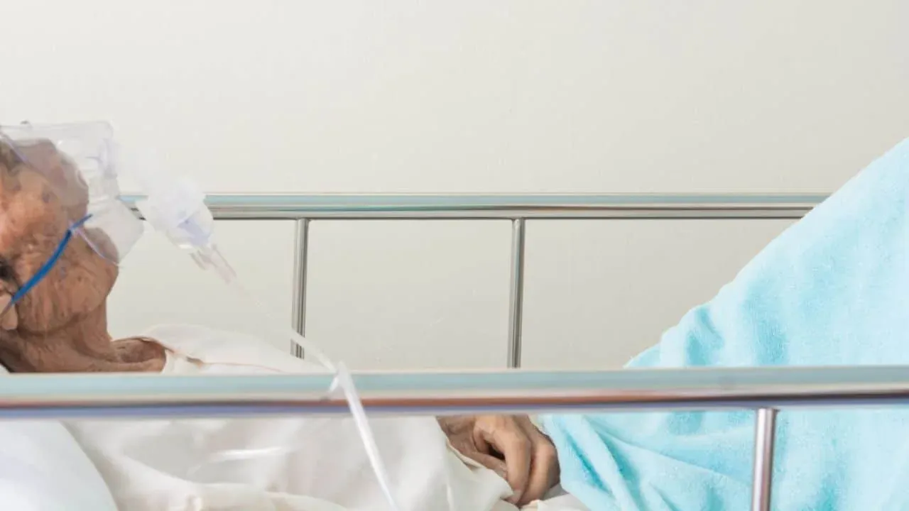 병원 및 의료 시설