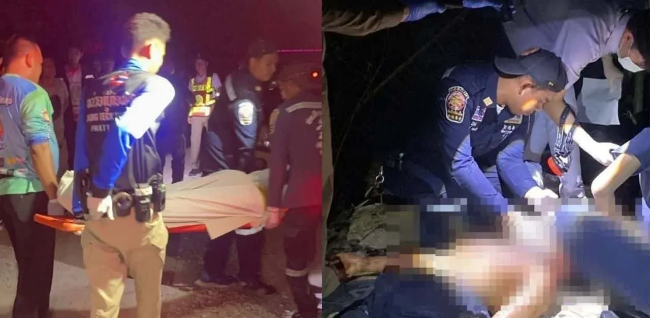 사고 관련 보도