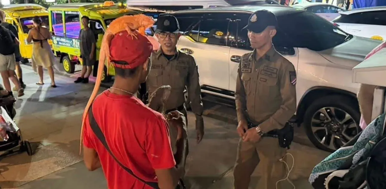 체포 현장 사진