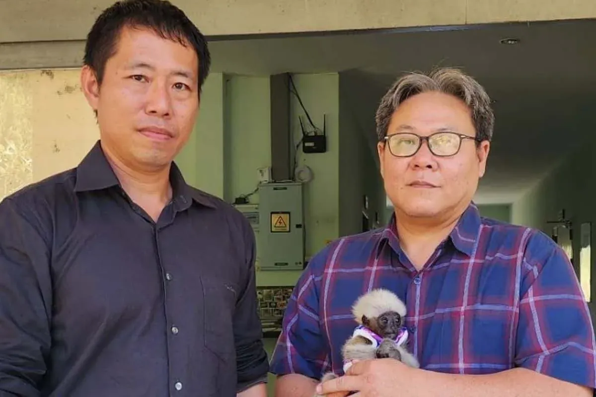 구조된 아기 긴팔원숭이