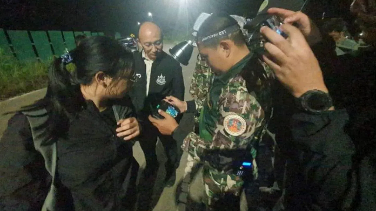 태국 야생 코끼리 피임 프로그램