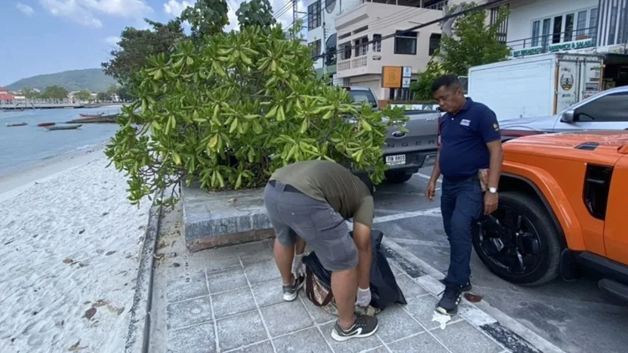 크라비에서 체포된 덴마크 남성