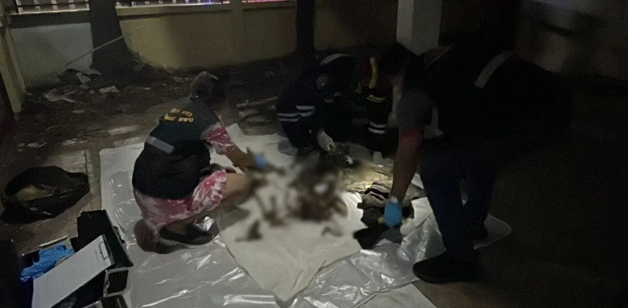 리모델링 현장에서 발견된 인골